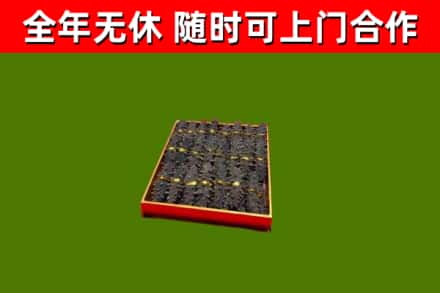 绥化回收海参